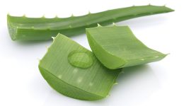 aloe vera benefici dormire riposo sonno